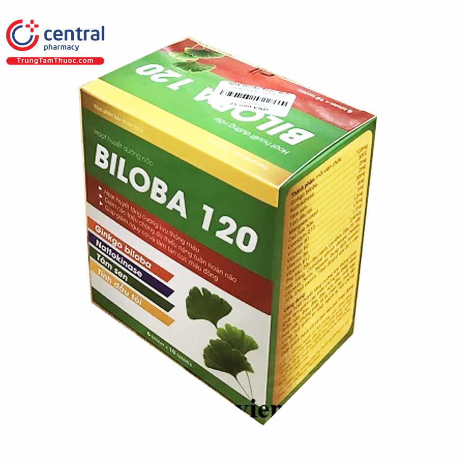 biloba 120 3 C0177