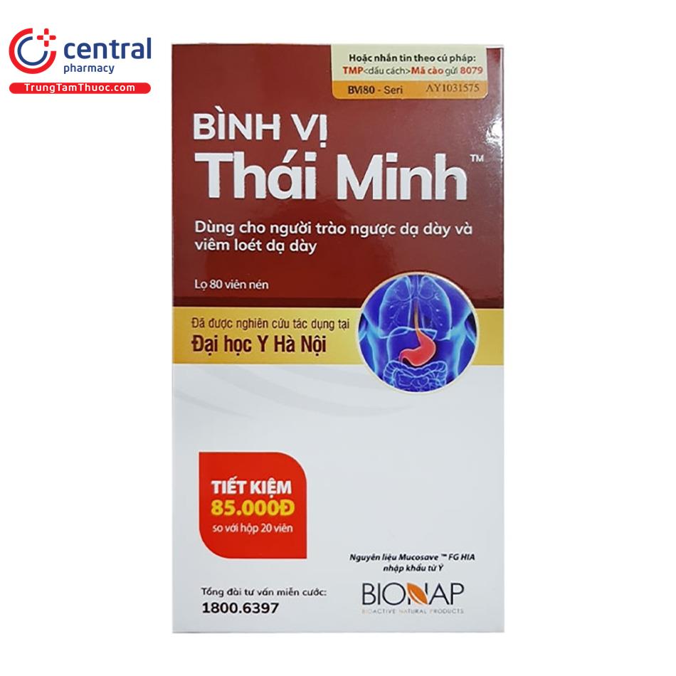 binh vi thai minh 3 B0163