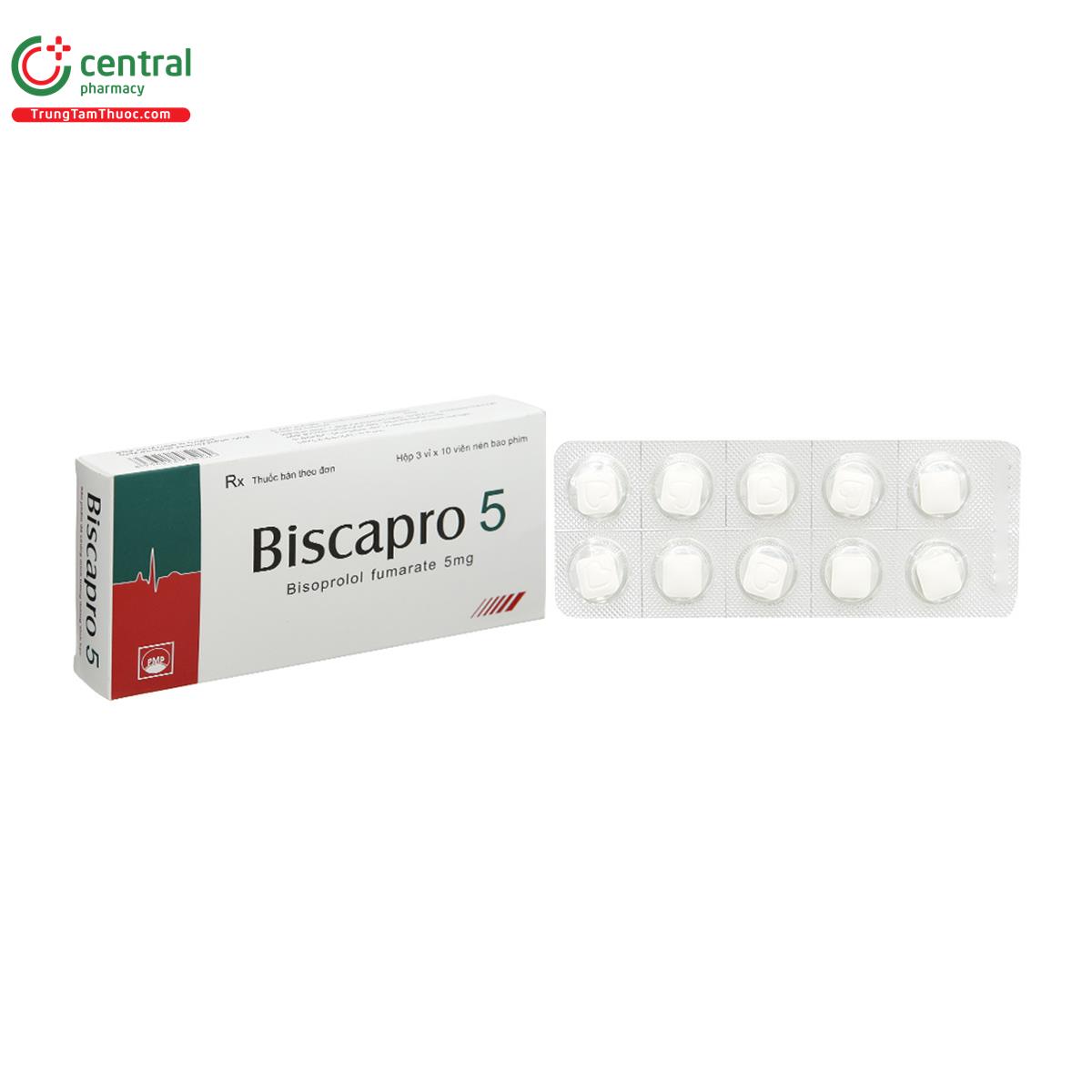 biscapro 5 1 A0641