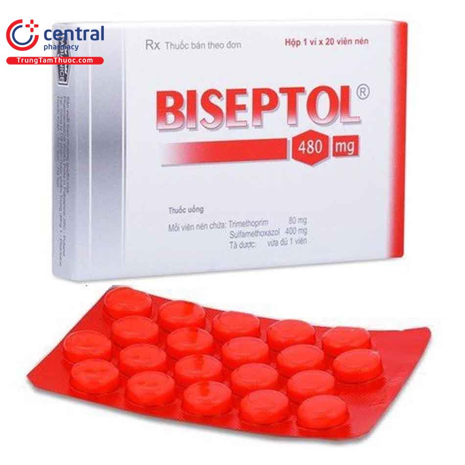 biseptol 480 1 D1836