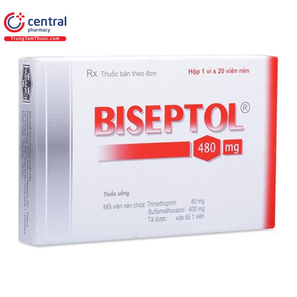 biseptol 480 2 E1673