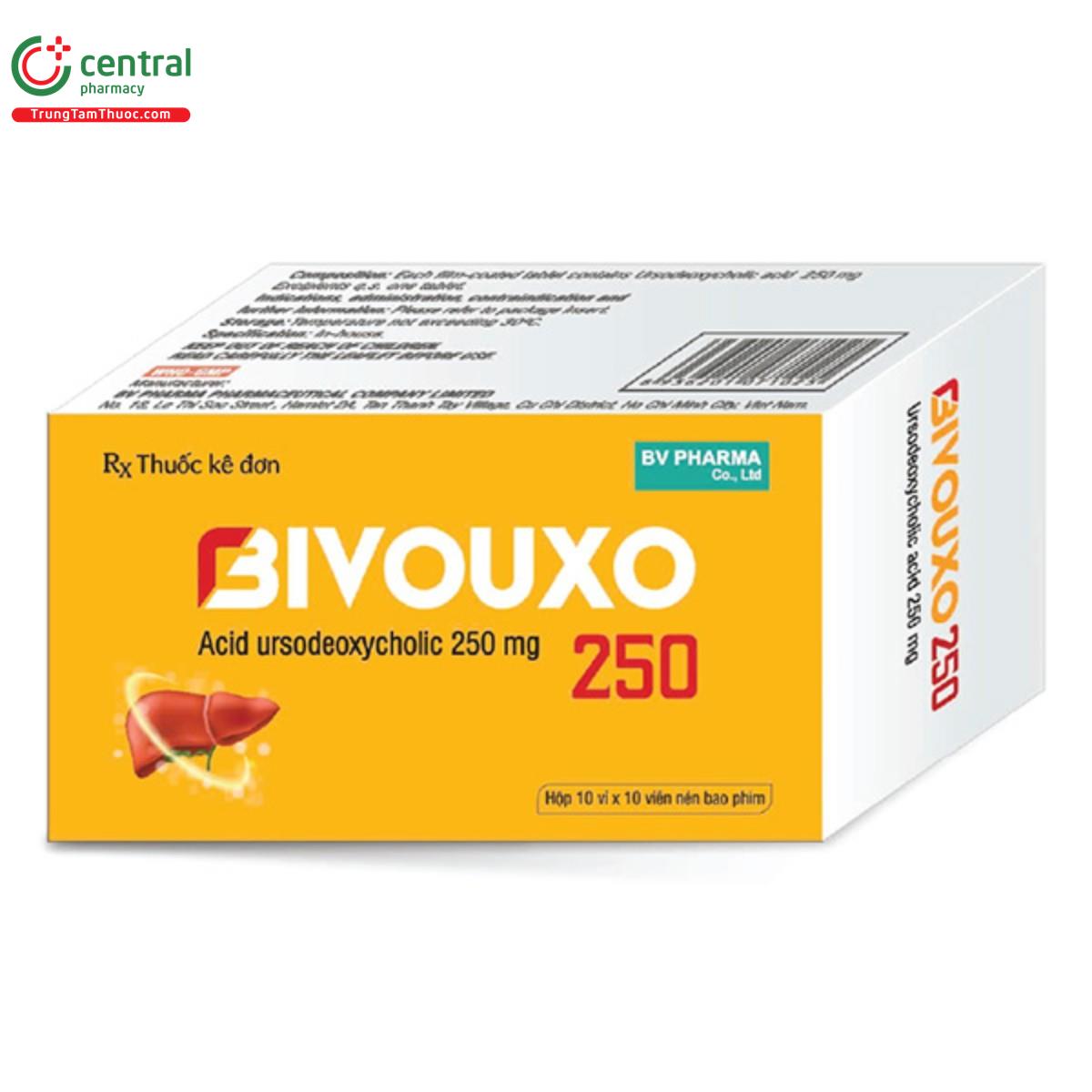 bivouxo 250 2 G2853 bivouxo 250 2 G2853