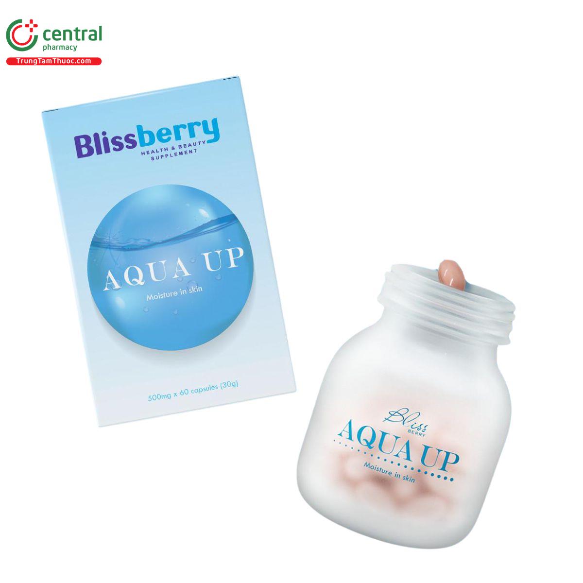 blissberry aquaup 1 R7417