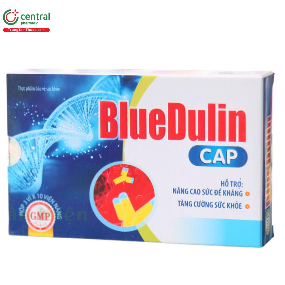 bluedulin cap 3 K4882