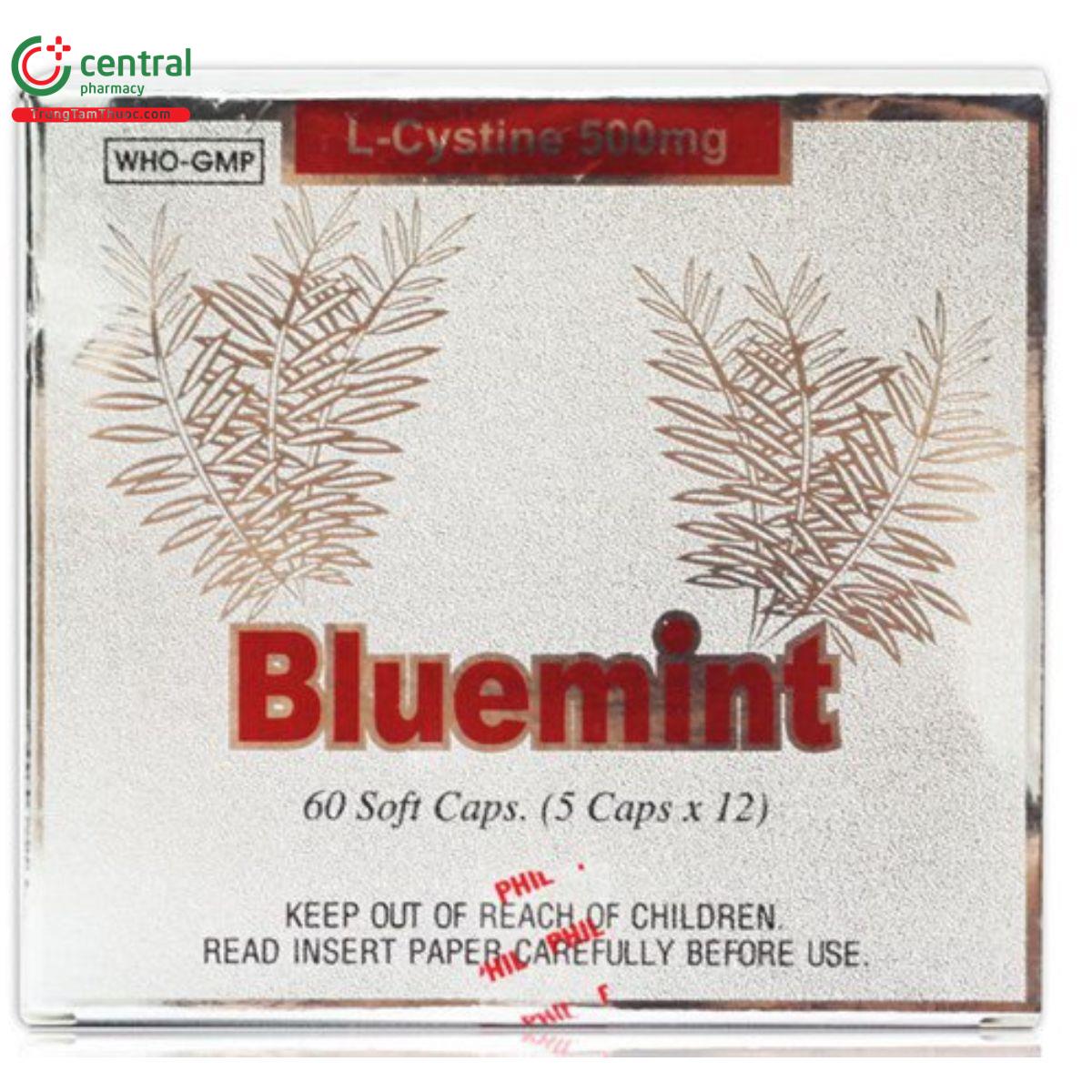 bluemint 11 N5553