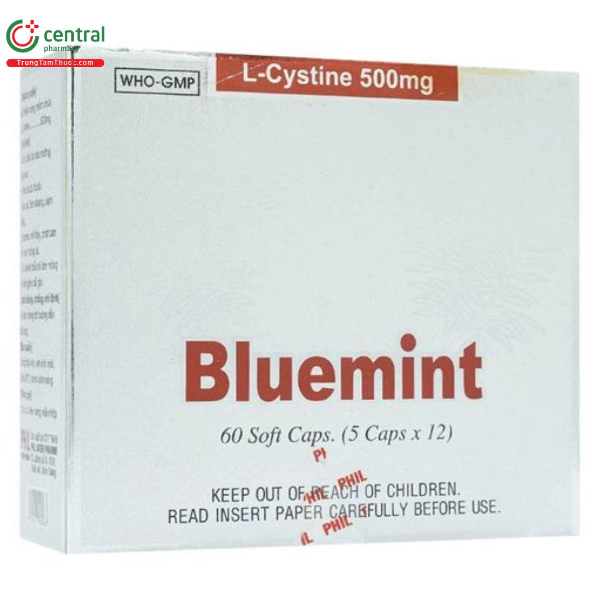 bluemint 8 R7532