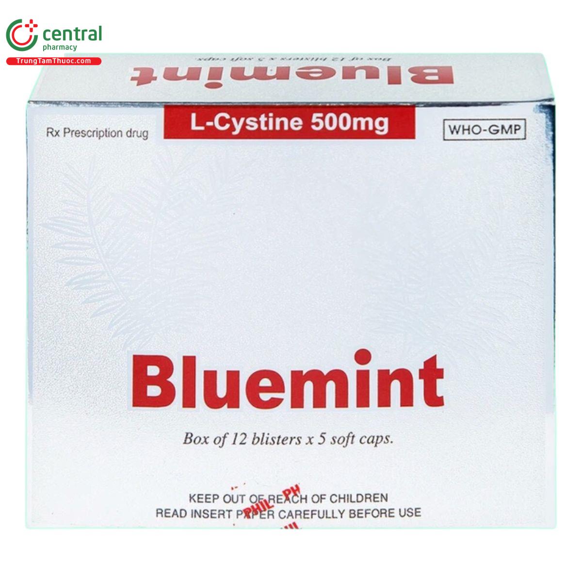 bluemint 9 J3805