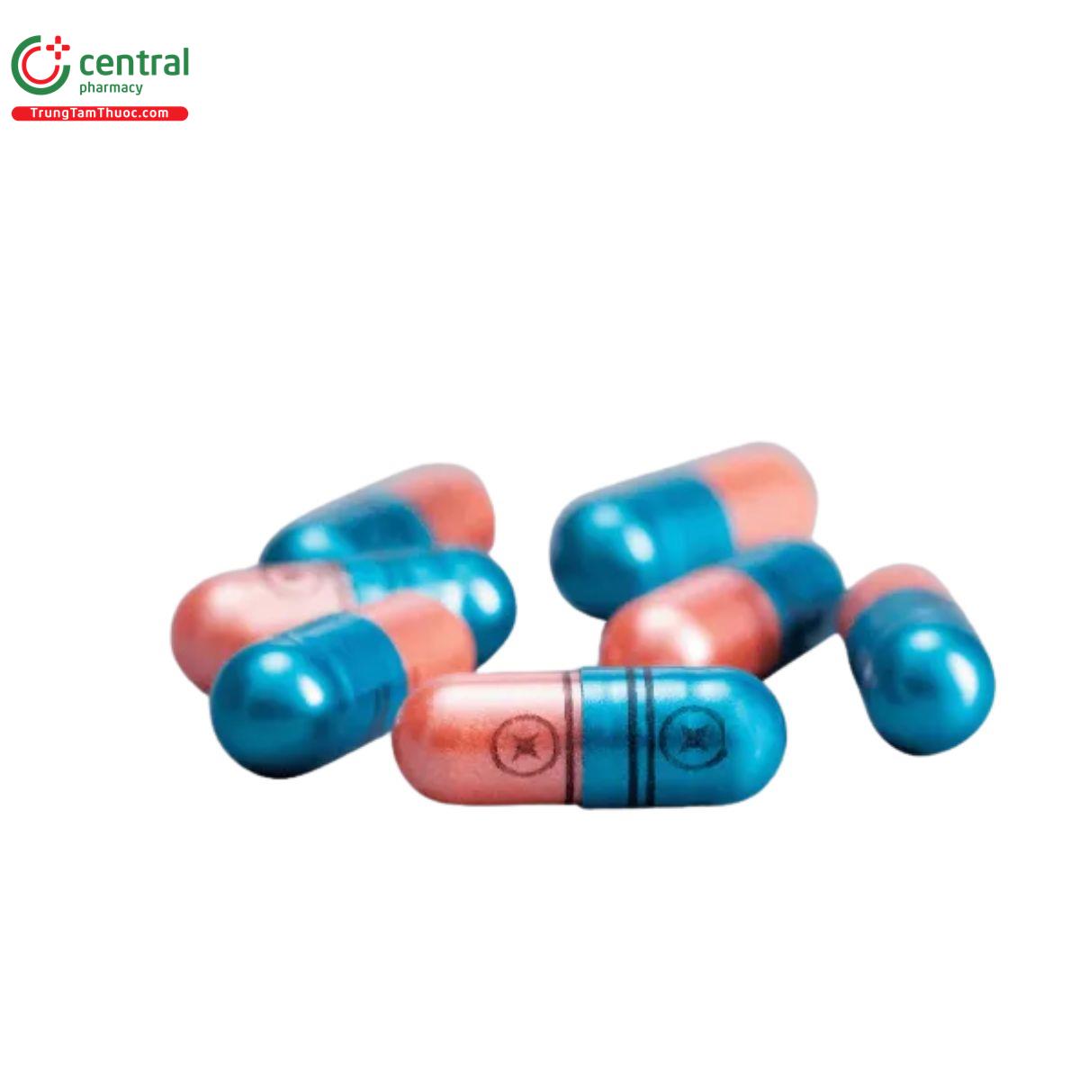 bocalex c 1 I3275 bocalex c 1 I3275