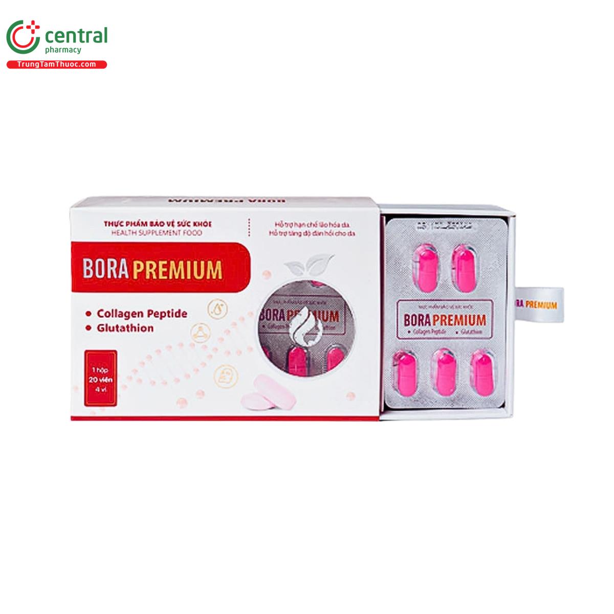 bora premium 2 L4508