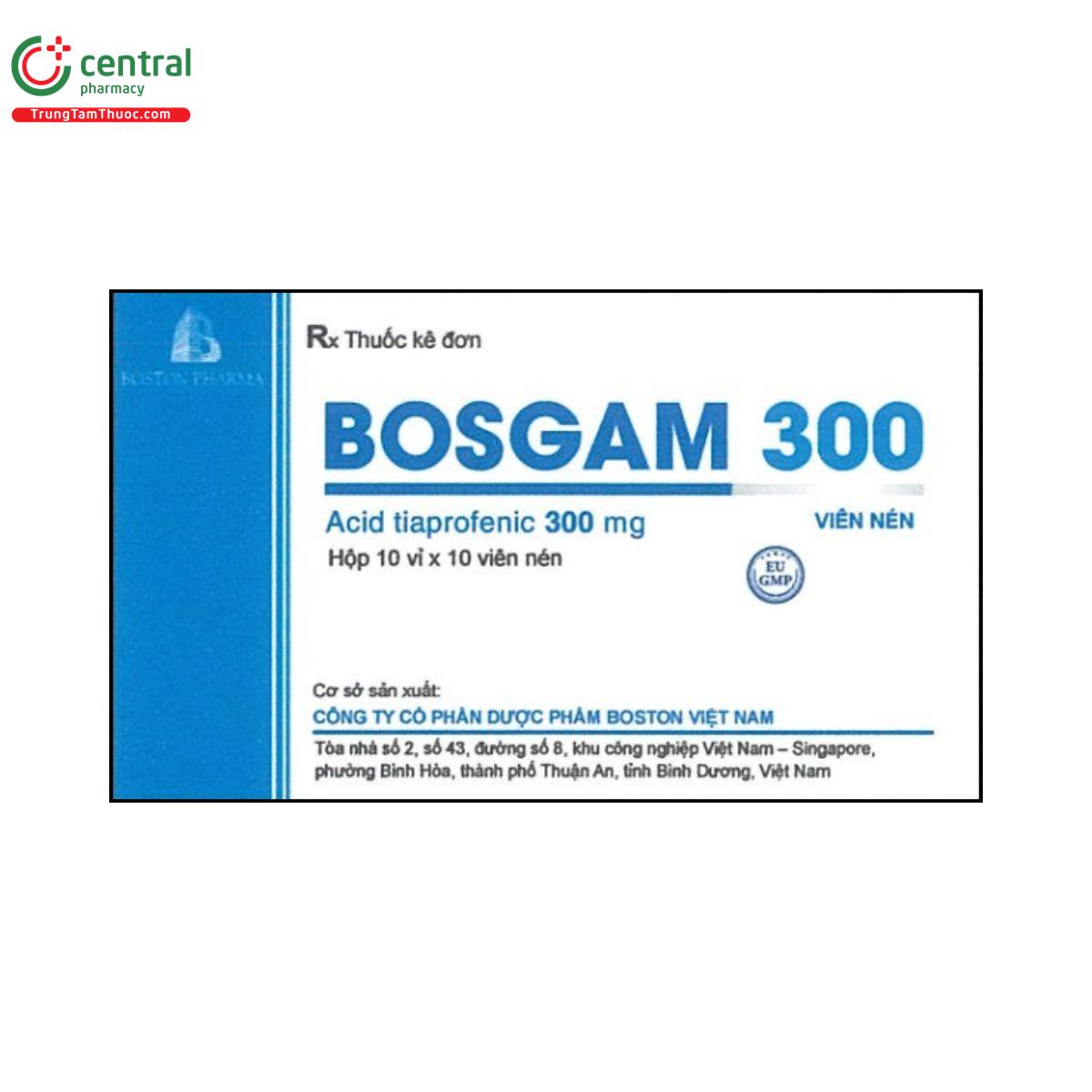 bosgam 300 1 B0558 bosgam 300 1 B0558
