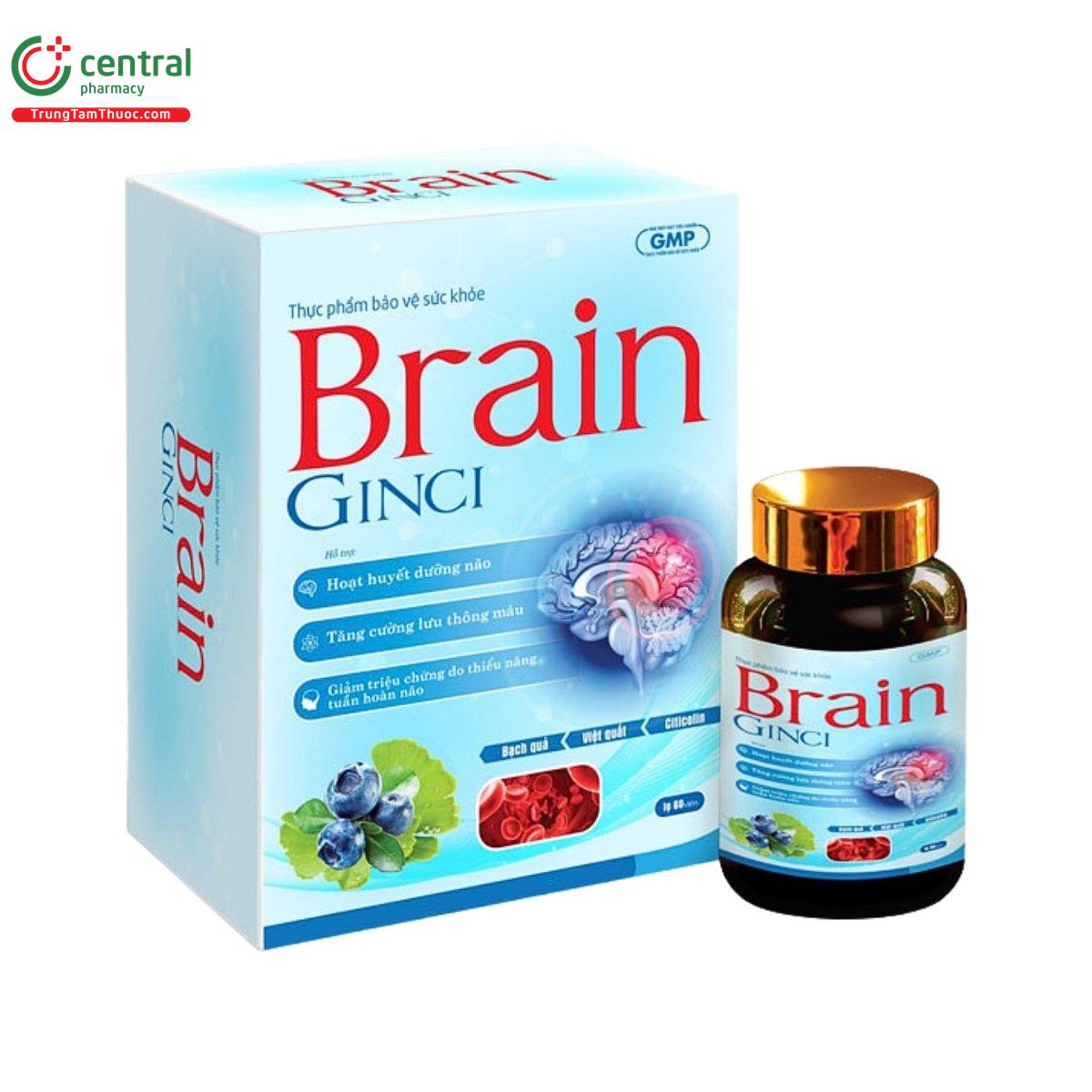 brain ginci 2 I3807 brain ginci 2 I3807