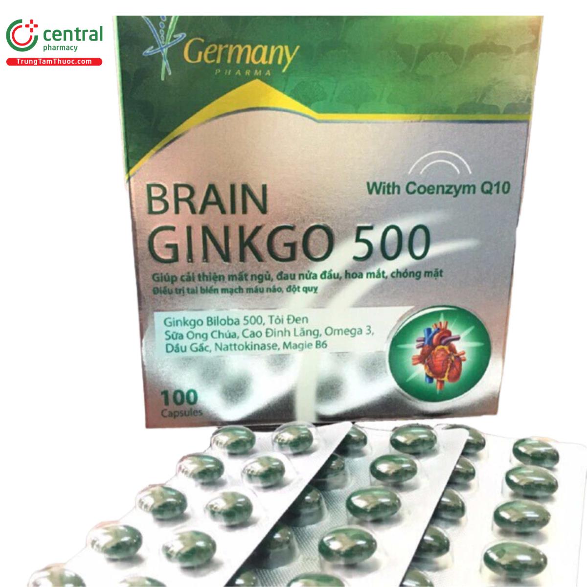 brain ginkgo 500 2 T8086