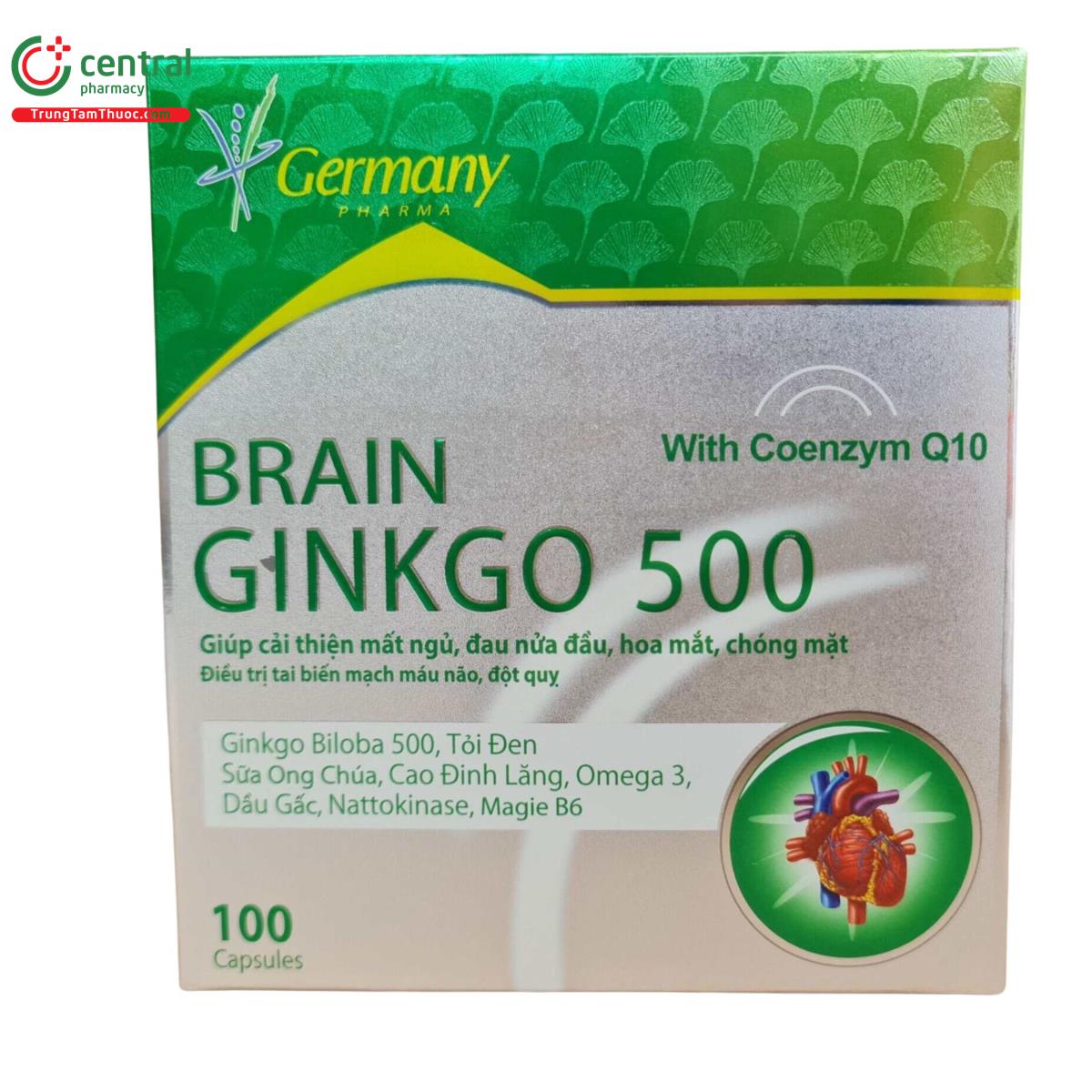 brain ginkgo 500 4 U8248