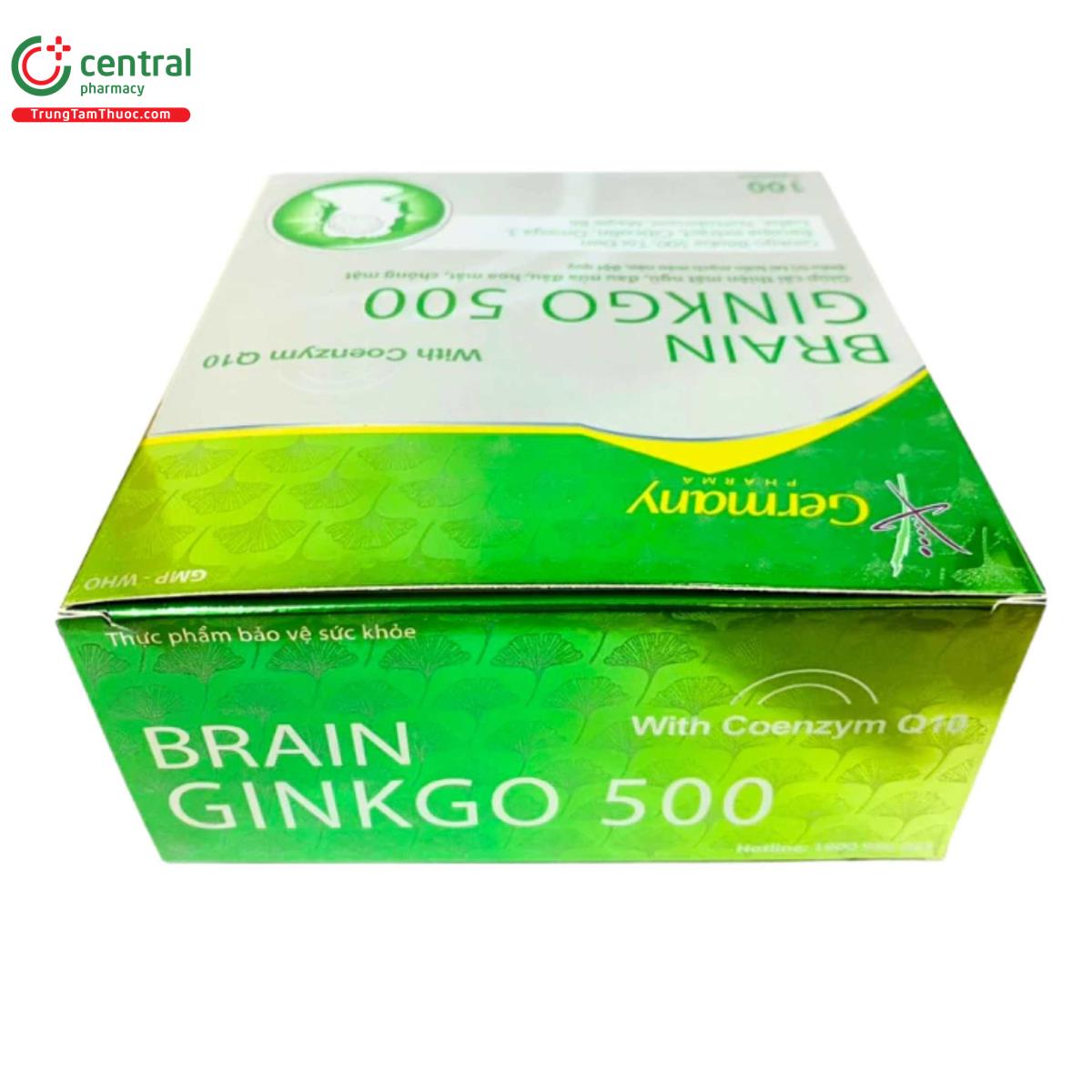 brain ginkgo 500 5 I3040