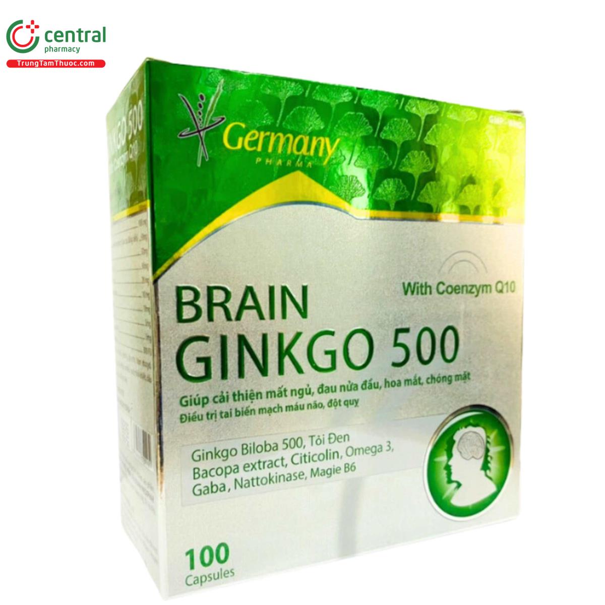 brain ginkgo 500 6 T7358