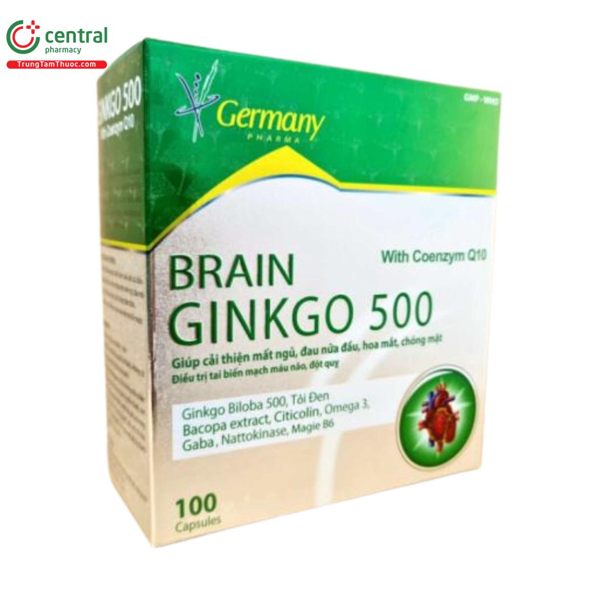 brain ginkgo 500 7 C0115