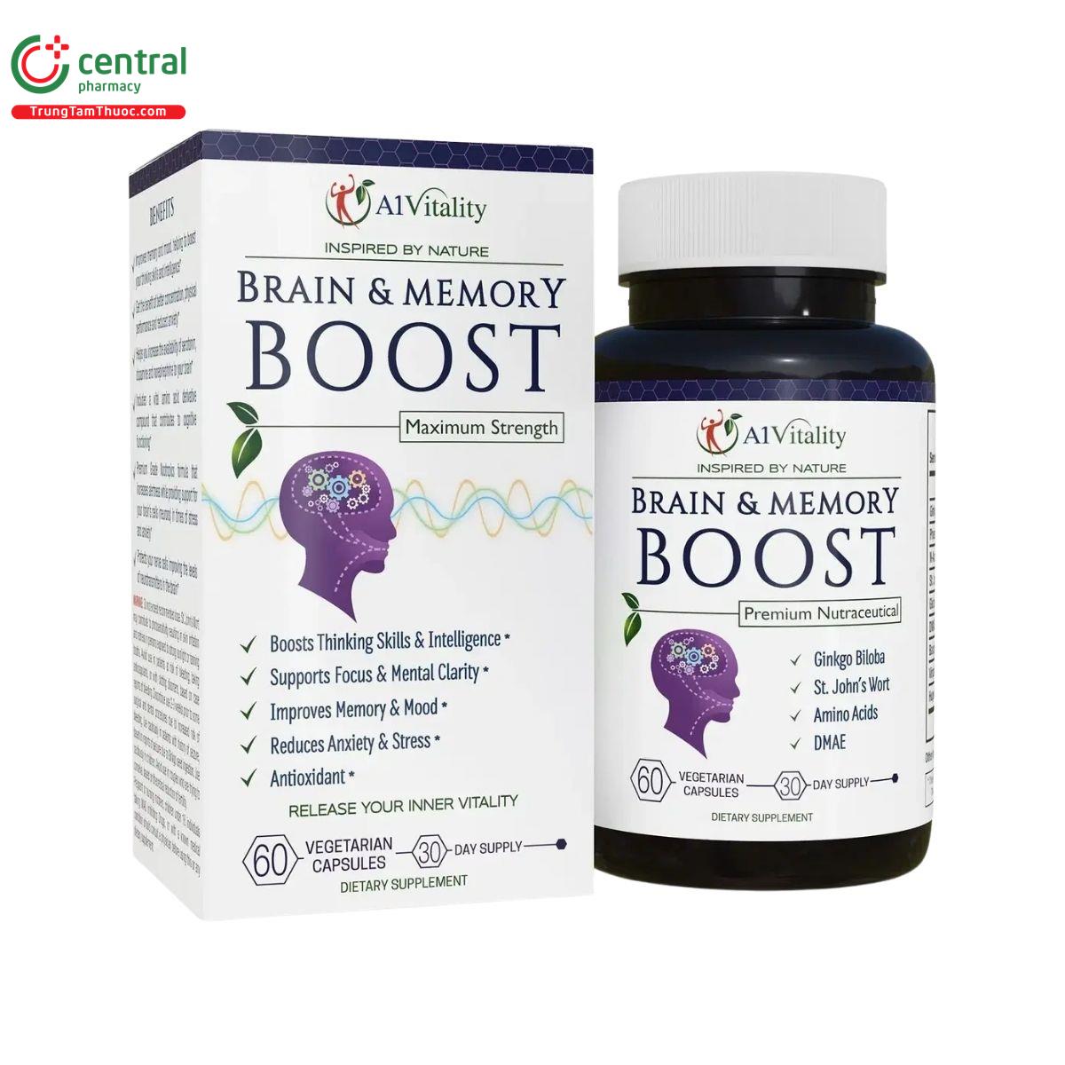 brain memory boost 2 L4552 brain memory boost 2 L4552