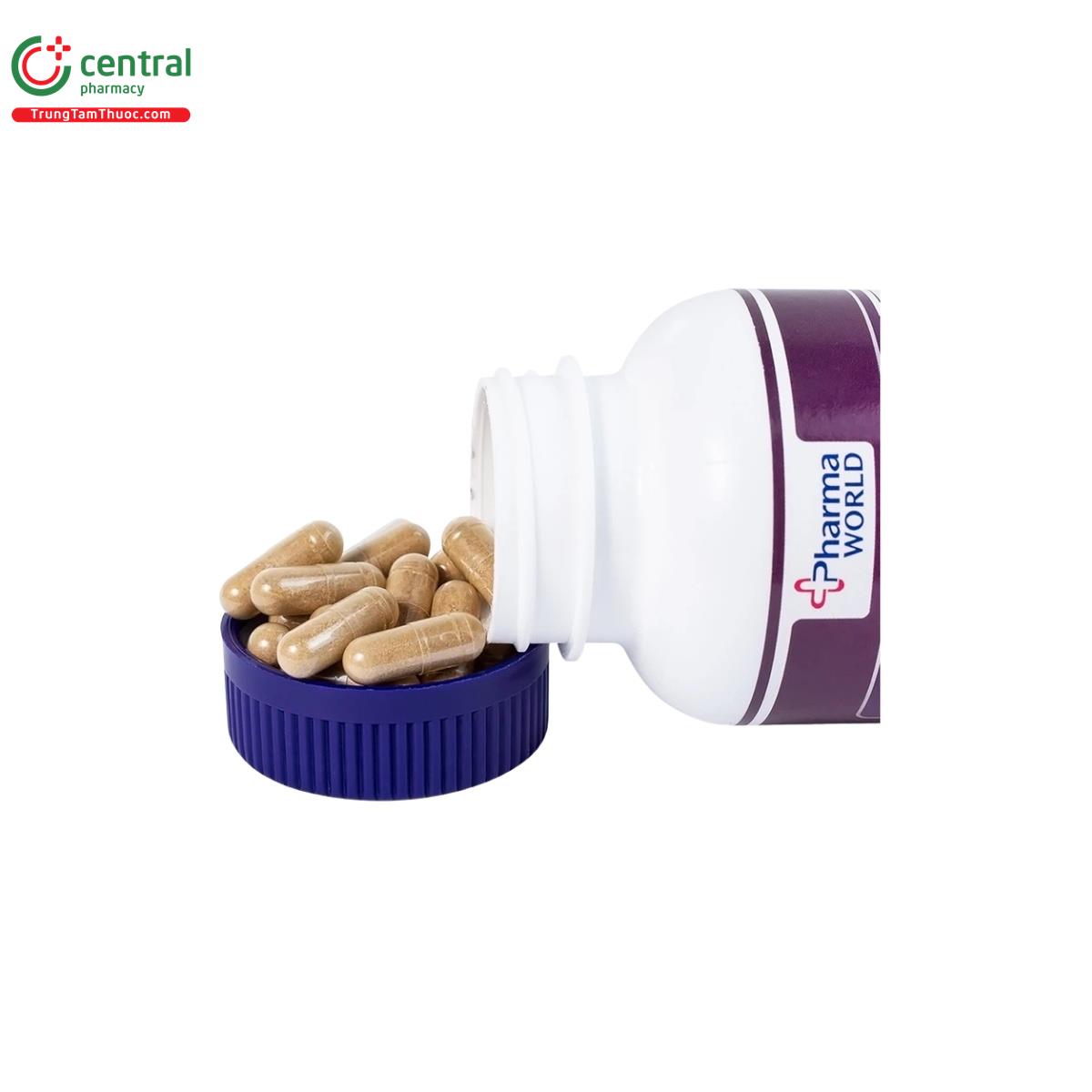 brain support pharma world 6 M4287 brain support pharma world 6 M4287