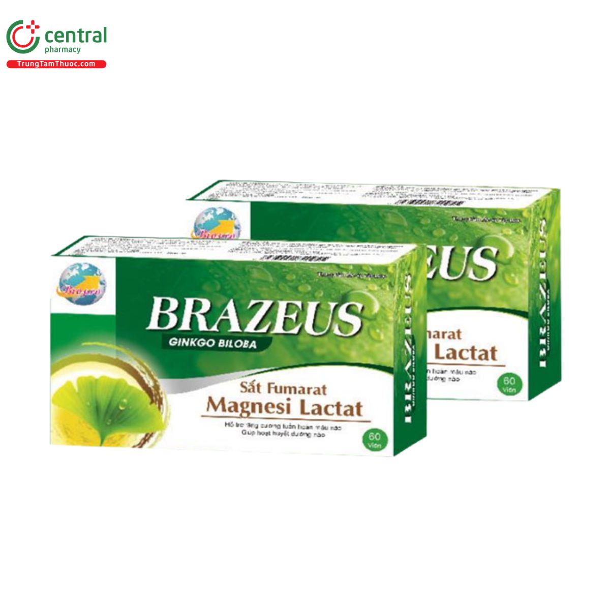 brazeus 3 E1868 brazeus 3 E1868