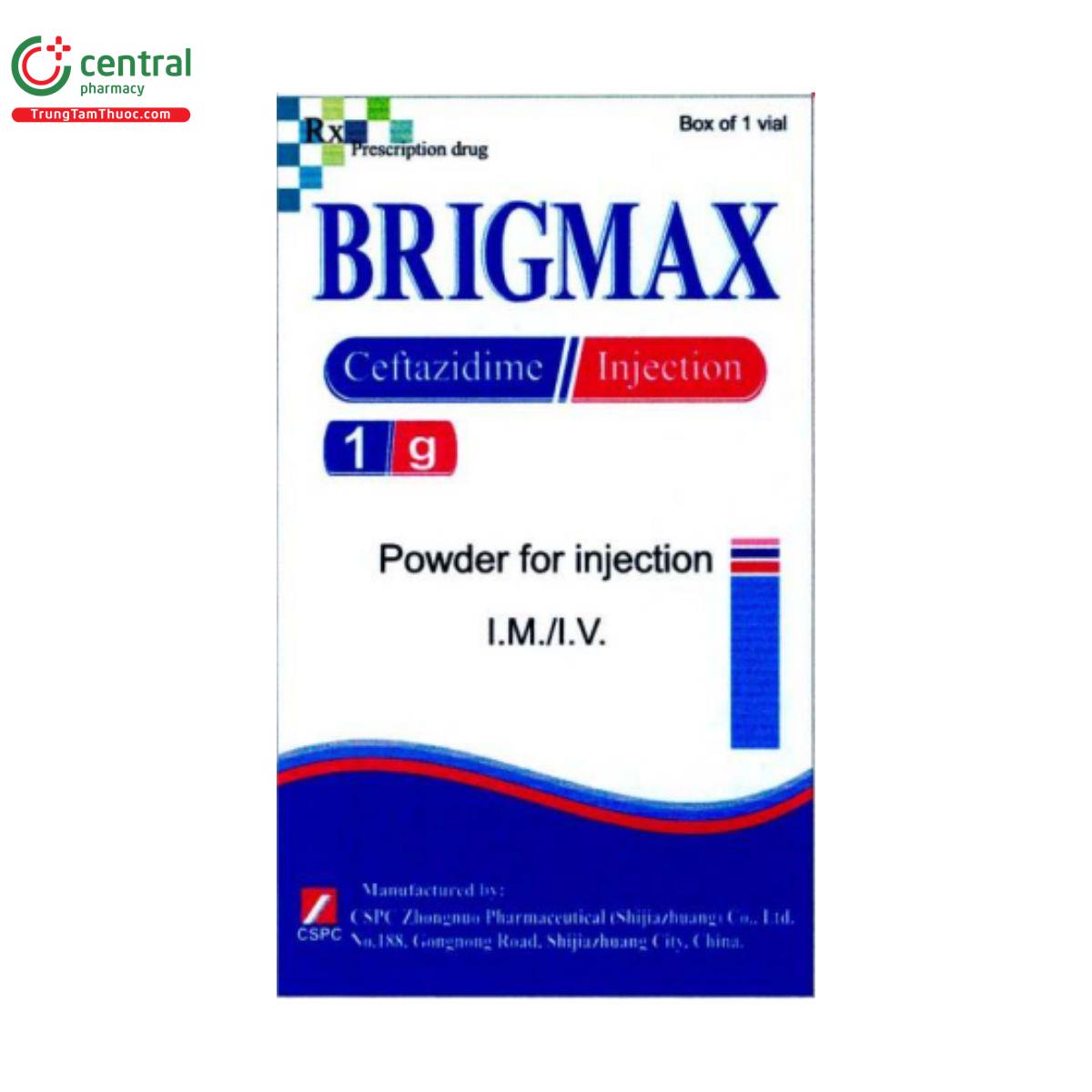 brigmax 1 T7173 brigmax 1 T7173