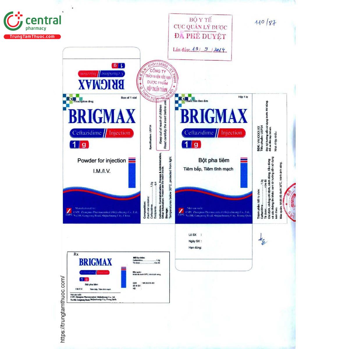 brigmax 5 T8764 brigmax 5 T8764