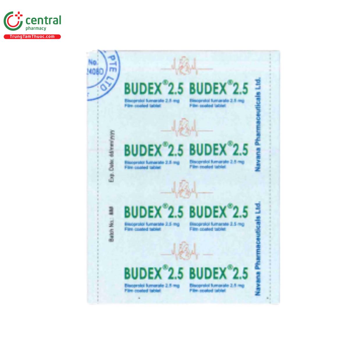 budex 25 3 Q6801