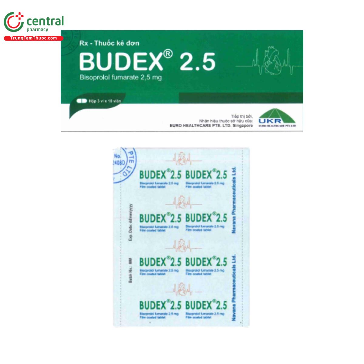 budex 25 4 J3352