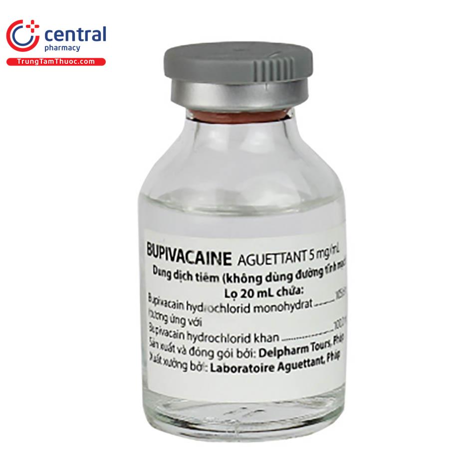 bupivacaine aguettant 5mg ml 2 I3868