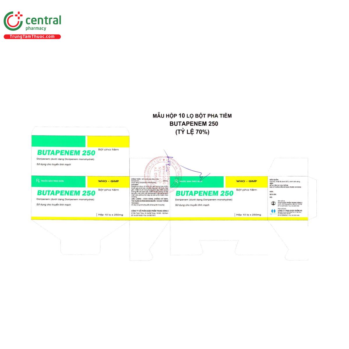 butapenem 250 4 A0431 butapenem 250 4 A0431