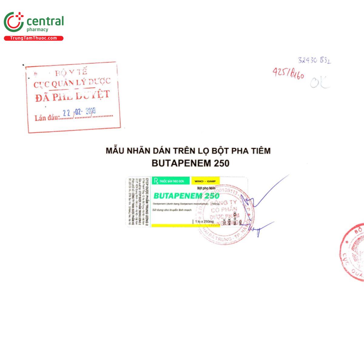 butapenem 250 5 P6783 butapenem 250 5 P6783