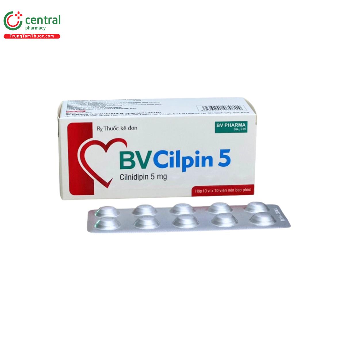 bv cilpin 5 2 M5262 bv cilpin 5 2 M5262