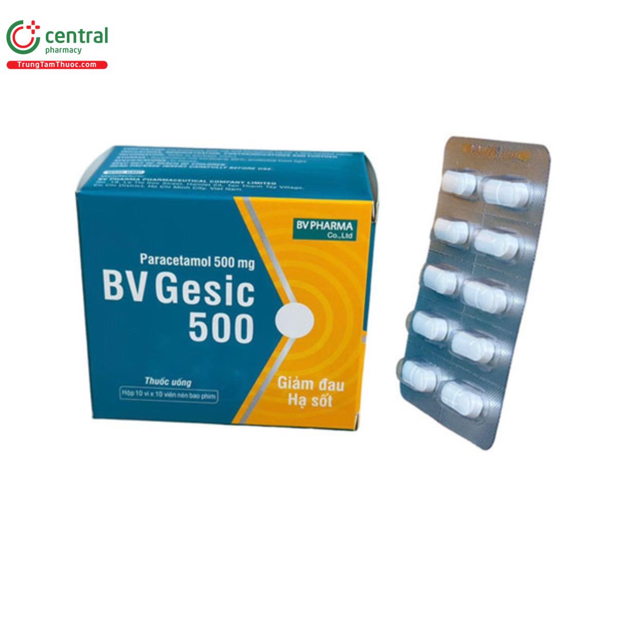 bv gesic 500 2 D1087