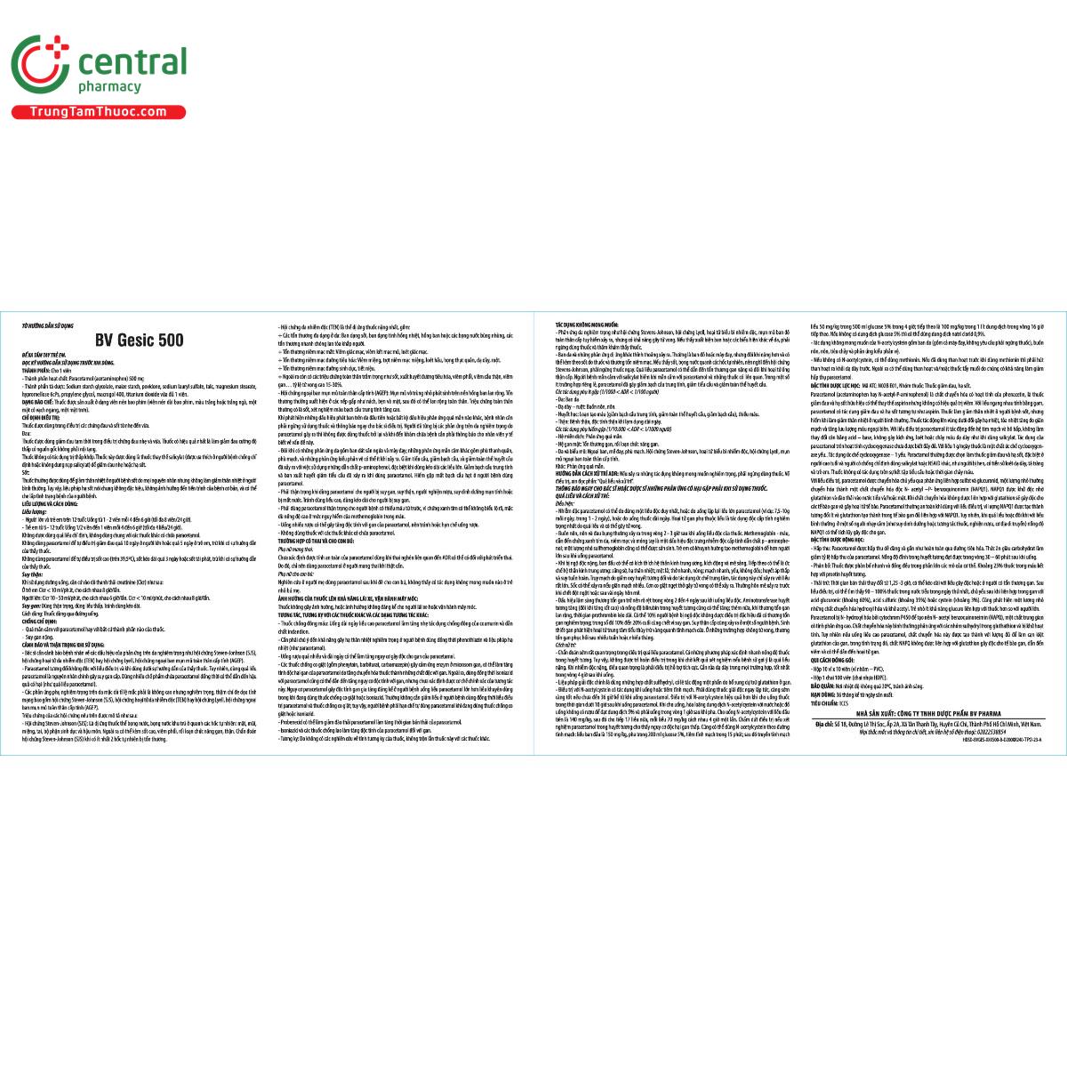 bv gesic 500 4 M5204