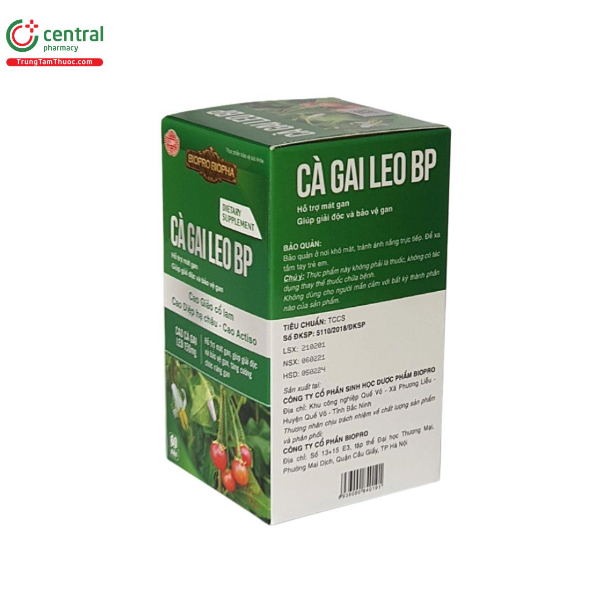 ca gai leo bp 4 C1620 ca gai leo bp 4 C1620