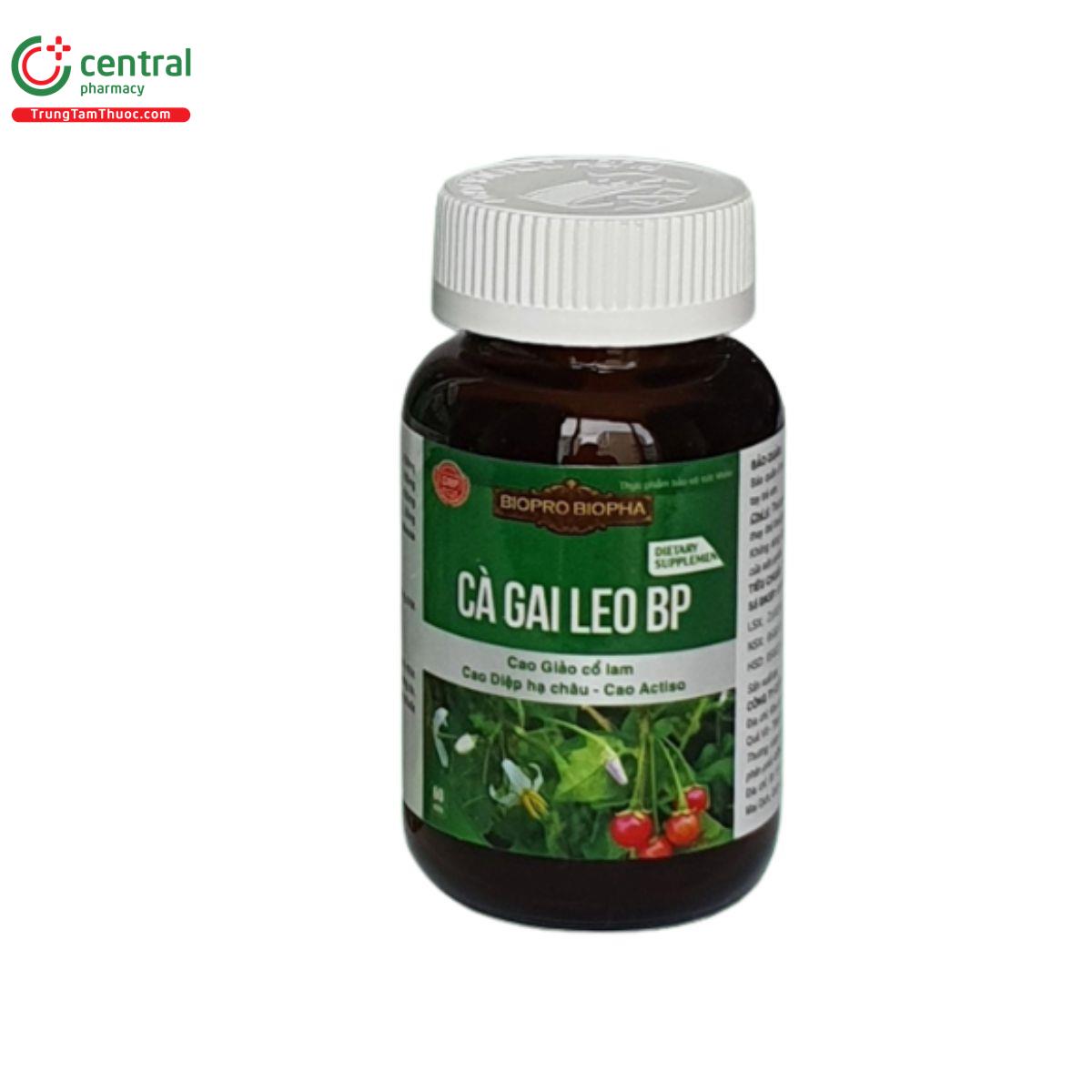 ca gai leo bp 5 B0543 ca gai leo bp 5 B0543