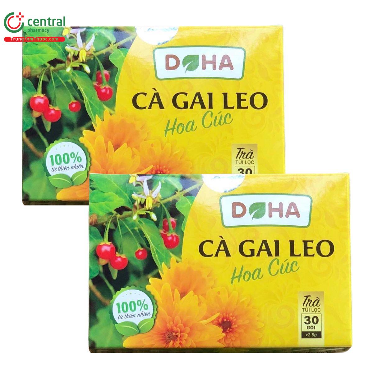 ca gai leo hoa cuc doha 2 P6241