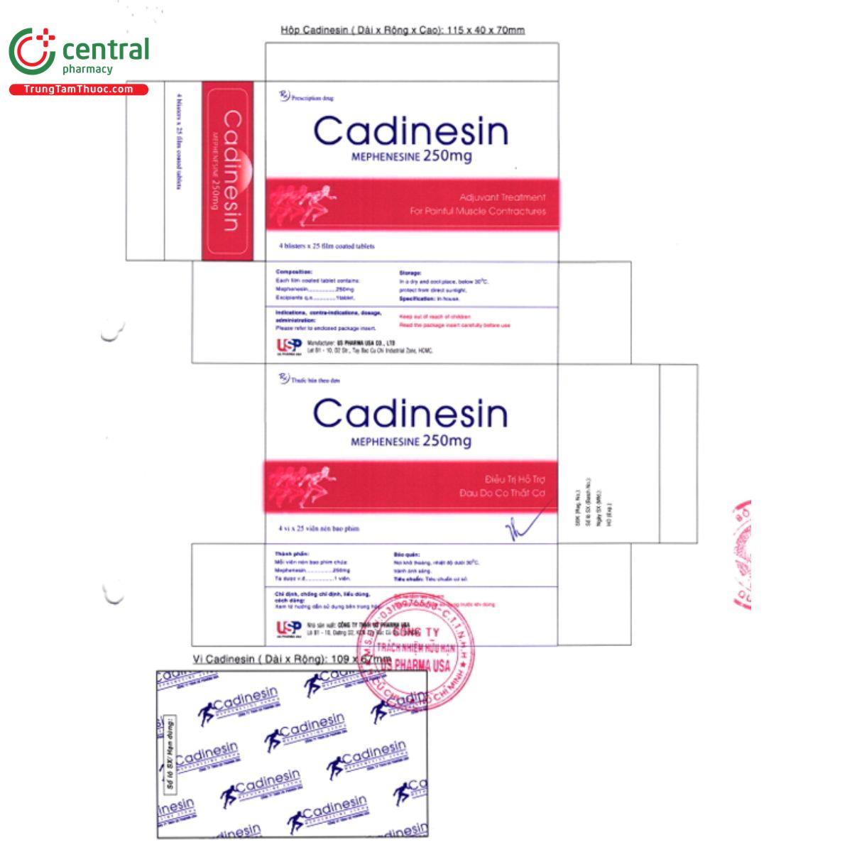cadinesin 4 S7740 cadinesin 4 S7740