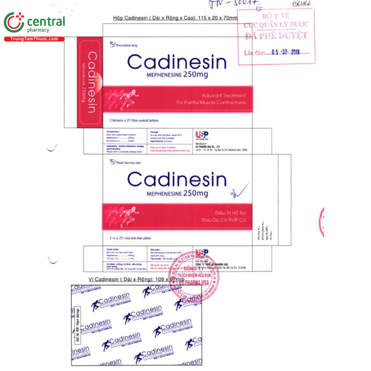 cadinesin 5 L4101 cadinesin 5 L4101
