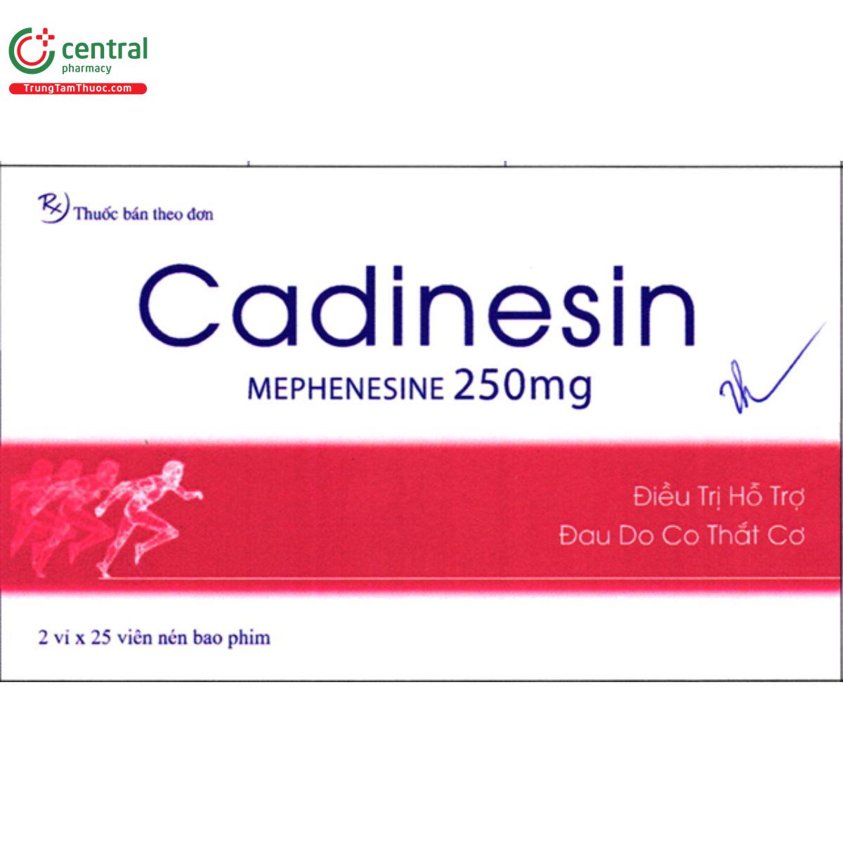 cadinesin 6 S7737 cadinesin 6 S7737