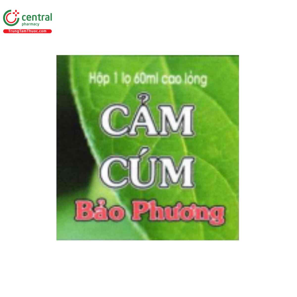 cam cum bao phuong 4 N5503 cam cum bao phuong 4 N5503