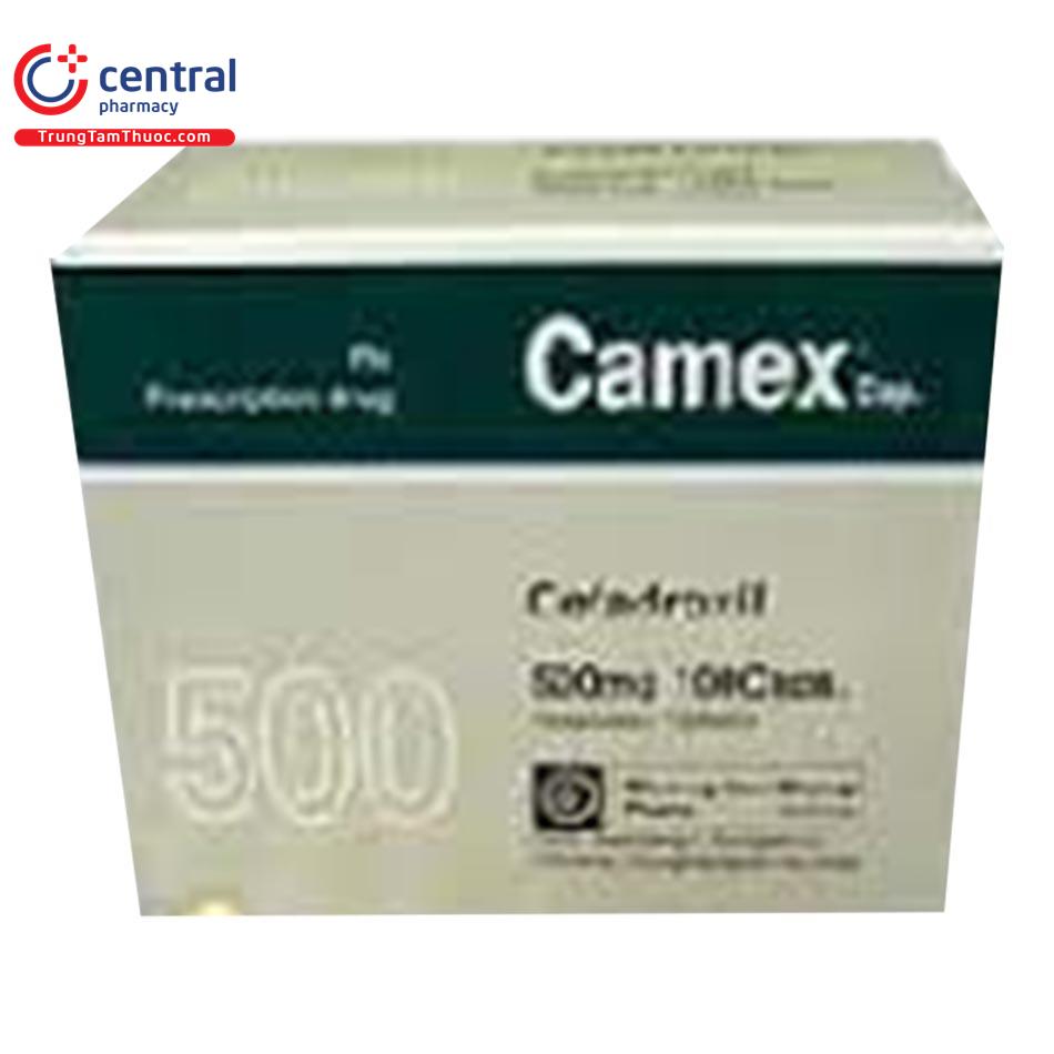 camex 500mg 2 D1350