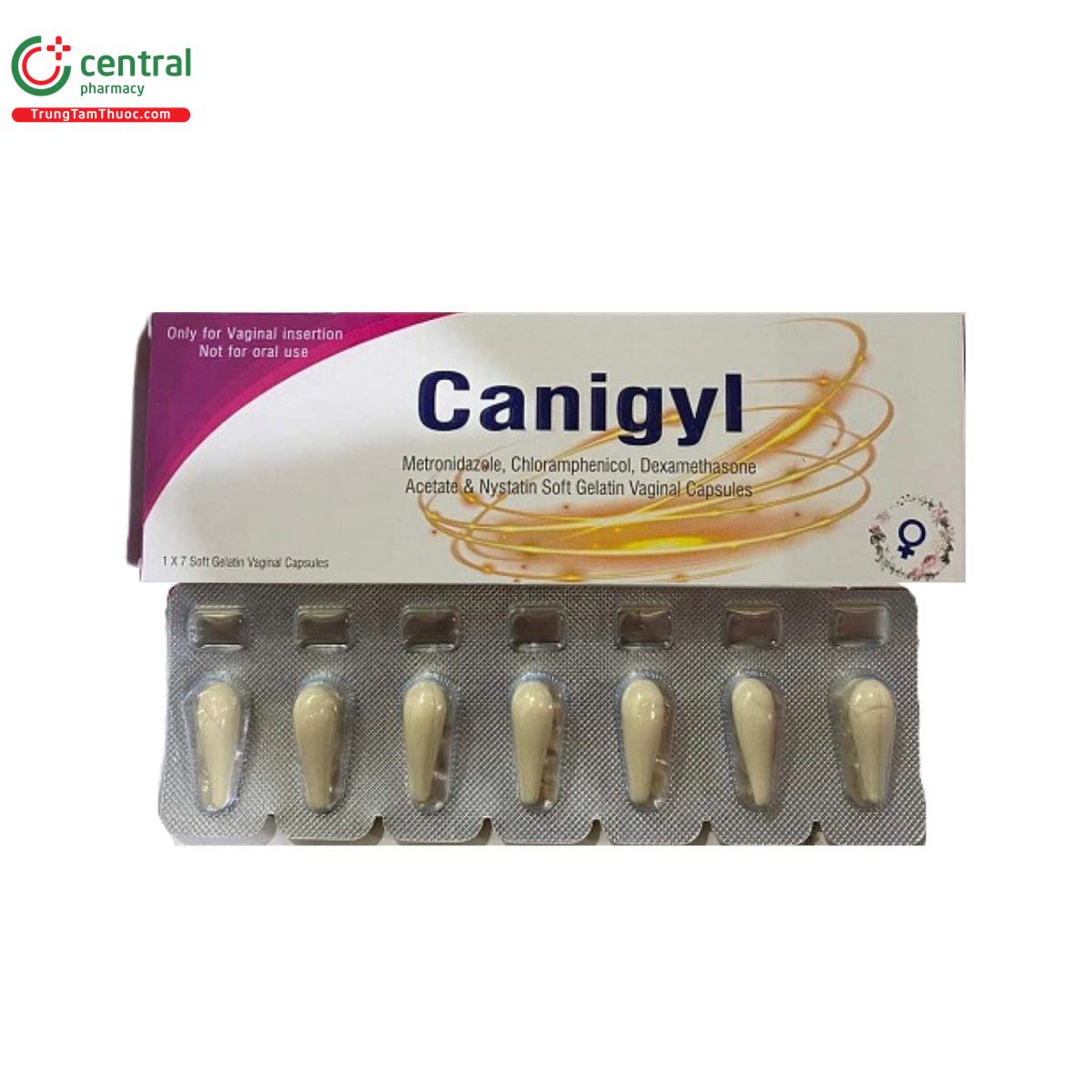 canigyl 1 V8246