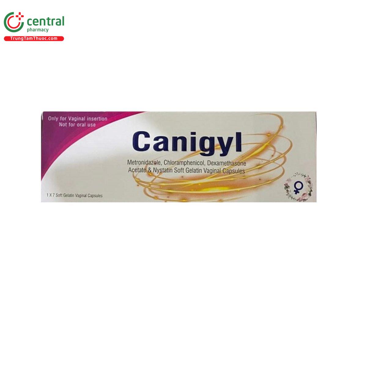 canigyl 2 M5520