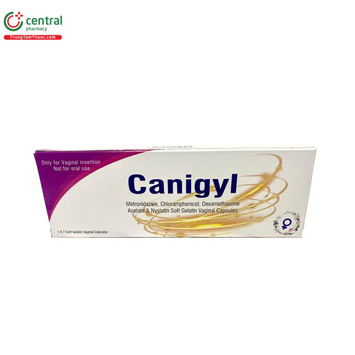 canigyl 3 N5113