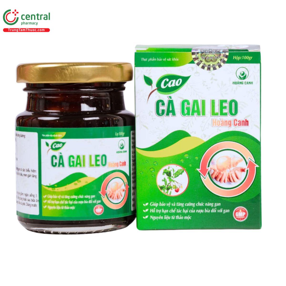 cao ca gai leo hoang canh T8703