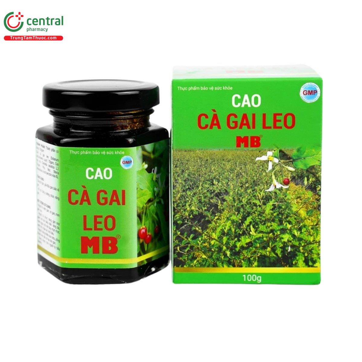 cao ca gai leo mb 1 E1653