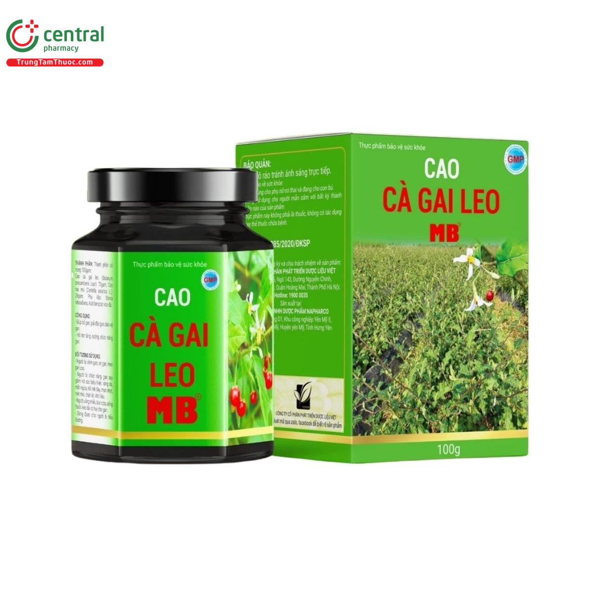 cao ca gai leo mb 4 J3828