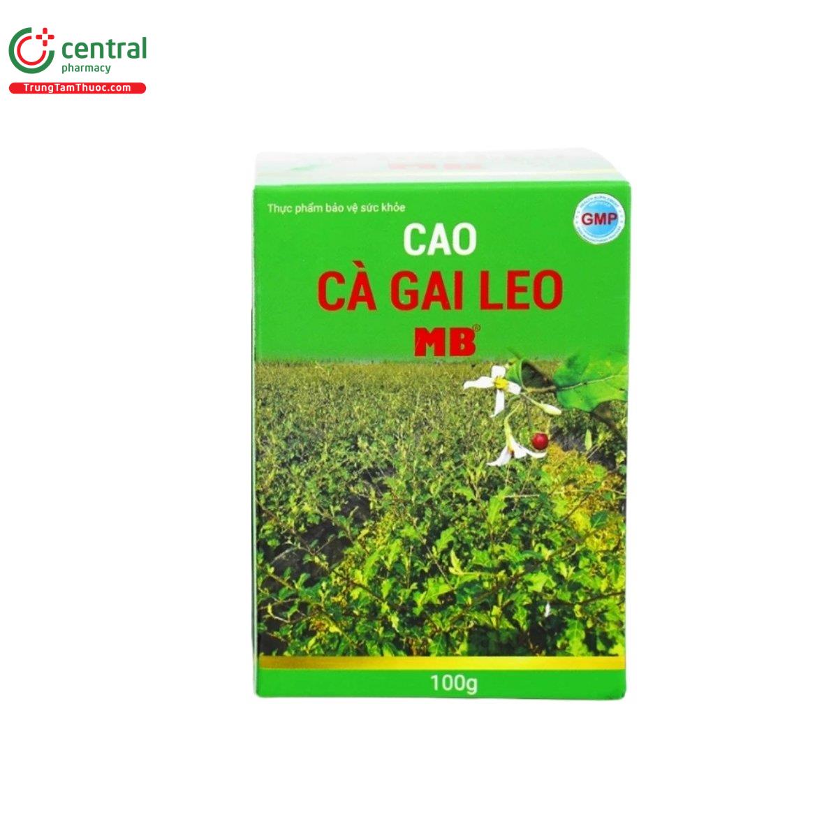 cao ca gai leo mb 5 T8685