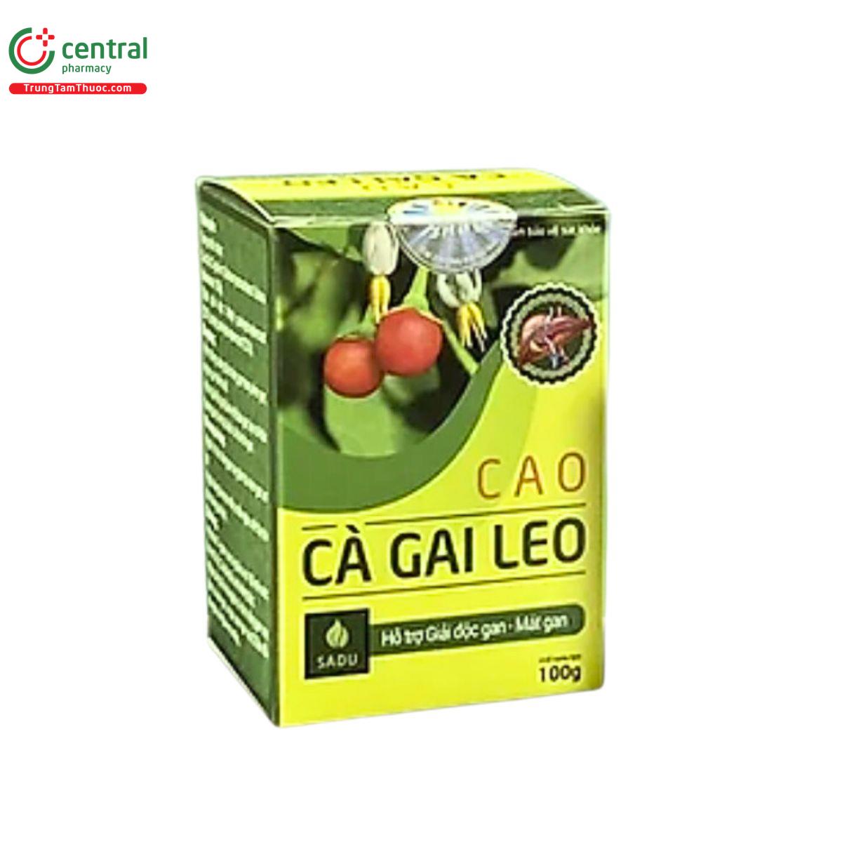 cao ca gai leo sadu 5 K4473