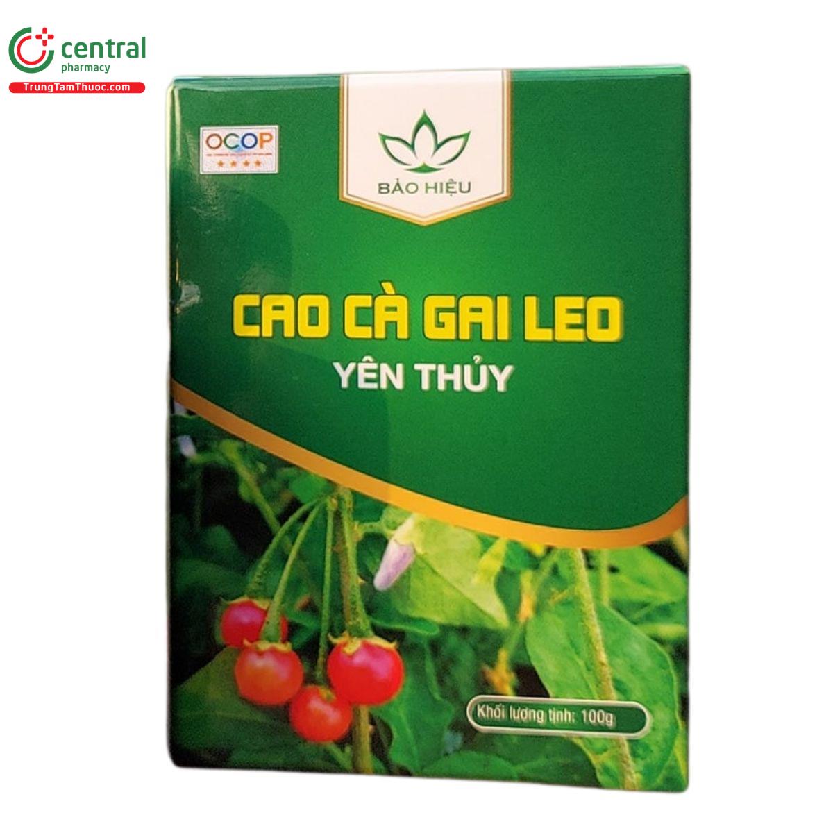 cao ca gai leo yen thuy 2 H2845